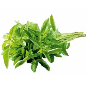 Albahaca 1 un