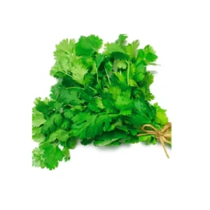 Culantro 1 un