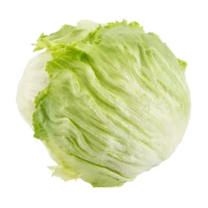 Lechuga Americana