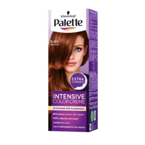Tinte de Cabello PALETTE Chocolate 5-68
