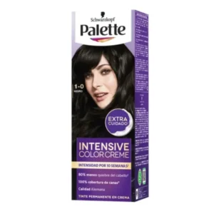 Tinte de Cabello PALETTE Negro 1-0