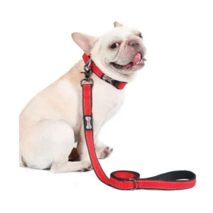 Correa para Perro KISS PET Roja 1 und