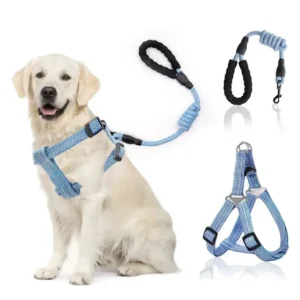 Correa para Perro Mascota de Keli Varios Colores 1.2m