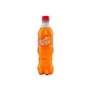 Gaseosa GUARANÁ Botella 450 ml